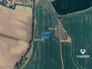 Prodej podílu pole, Ostrovánky, 167 m2