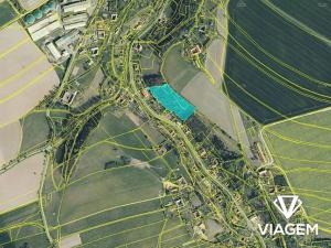 Prodej lesa, Trstěnice, 9612 m2