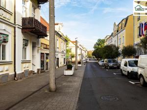 Prodej obchodního prostoru, Františkovy Lázně, Anglická, 100 m2