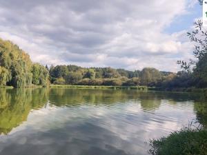 Prodej zahrady, Lipová - Mechová, Lipová, 538 m2