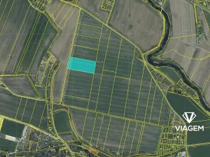 Prodej podílu pole, Plzeň, 1034 m2