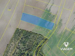 Prodej pole, Chotěšice, 5881 m2