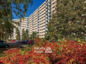 Pronájem bytu 1+kk, Liberec, Na Pískovně, 20 m2