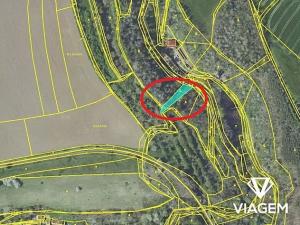 Prodej lesa, Pašinka, 606 m2