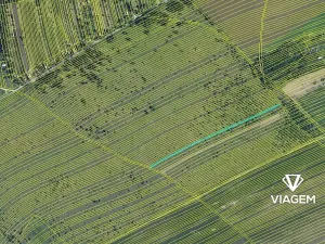 Prodej podílu pole, Břeclav, 1140 m2