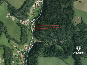 Prodej lesa, Letovice, 2703 m2