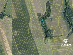 Prodej zahrady, Kojice, 500 m2