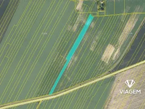 Prodej podílu pole, Moravské Budějovice, 1999 m2