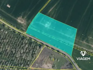 Prodej pole, Vinařice, 6082 m2