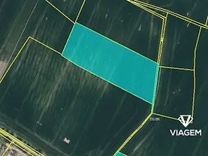 Prodej pole, Vinařice, 10383 m2