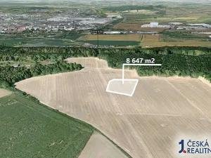 Prodej pole, Vinařice, 8647 m2