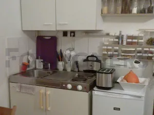 Pronájem bytu 1+kk, Praha - Vinohrady, Lužická, 17 m2