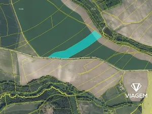 Prodej podílu pole, Bačetín, 2336 m2