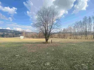Dražba louky, Bartošovice v Orlických horách, 5738 m2