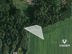 Prodej pole, Mezno, 808 m2