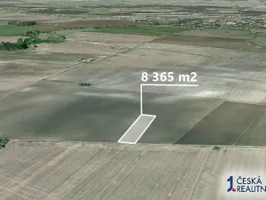 Prodej podílu pole, Sluhy, 2137 m2