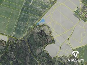 Prodej lesa, Zbýšov, 2800 m2