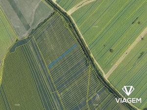 Prodej podílu pole, Velká nad Veličkou, 1049 m2