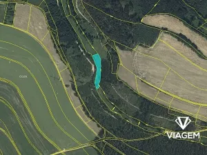 Prodej pole, Němčice, 3039 m2