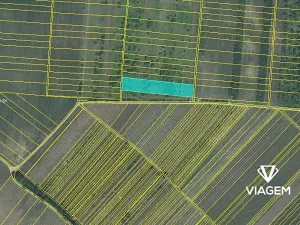 Prodej podílu pole, Hrušky, 912 m2