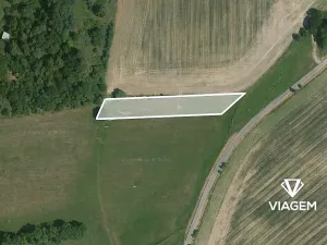 Prodej podílu pole, Čejkovice, 493 m2