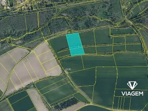 Prodej podílu pole, Velký Borek, 527 m2