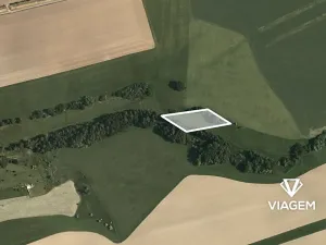 Prodej podílu pole, Ústí nad Orlicí, 1344 m2