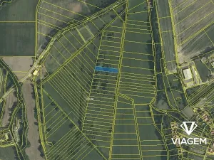 Prodej pole, Cerekvice nad Loučnou, 1780 m2