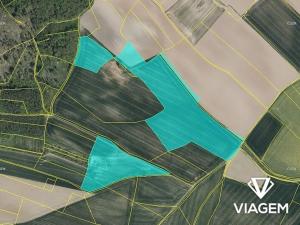 Prodej podílu pole, Rtyně v Podkrkonoší, 3977 m2