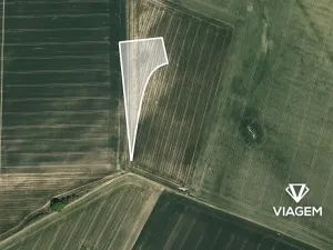 Prodej podílu pole, Litenčice, 1063 m2