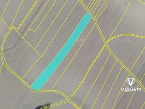 Prodej pole, Záhornice, 6270 m2