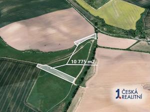 Prodej podílu pole, Litenčice, 1346 m2
