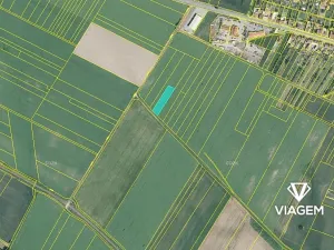 Prodej podílu pole, Vysoké Popovice, 813 m2