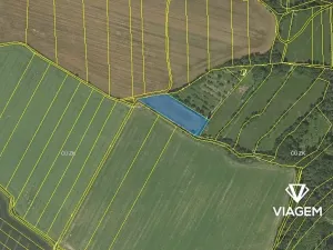 Prodej podílu pole, Bezděčí u Trnávky, 739 m2