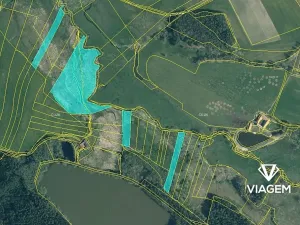 Prodej podílu pole, Olešnice, 1816 m2