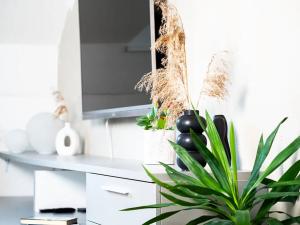 Prodej bytu 2+kk, Havlíčkova Borová, Drahotín, 54 m2