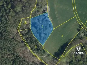 Prodej pole, Kokořín, 2261 m2