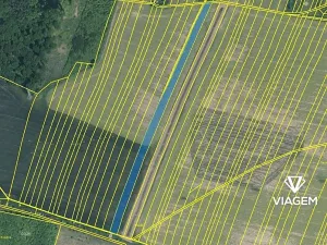 Prodej podílu pole, Částkov, 2904 m2