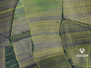 Prodej pole, Kněždub, 946 m2