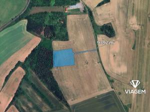 Prodej pole, Klučov, 9392 m2