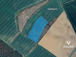 Prodej podílu pole, Zlobice, 481 m2