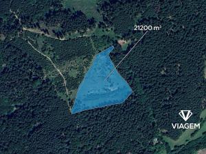 Prodej lesa, Všemina, 21200 m2