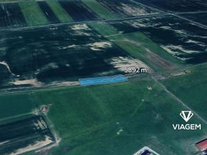 Prodej pole, Cekov, 5892 m2