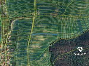 Prodej pole, Sobůlky, 1645 m2