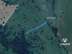 Prodej pole, Suchov, 4204 m2