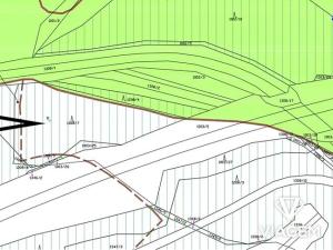 Prodej lesa, Nové Sedlo, 4639 m2