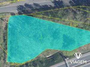 Prodej lesa, Nové Sedlo, 4639 m2