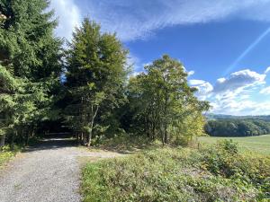 Prodej lesa, Lánov - Horní Lánov, 12297 m2