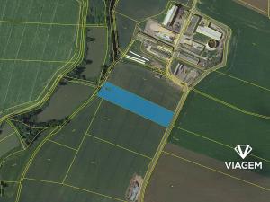 Prodej pole, Třebařov, 11501 m2