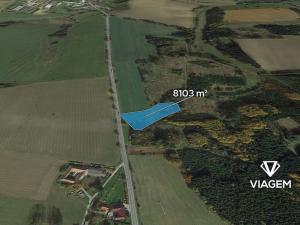 Prodej podílu pole, Dlouhá Brtnice, 900 m2